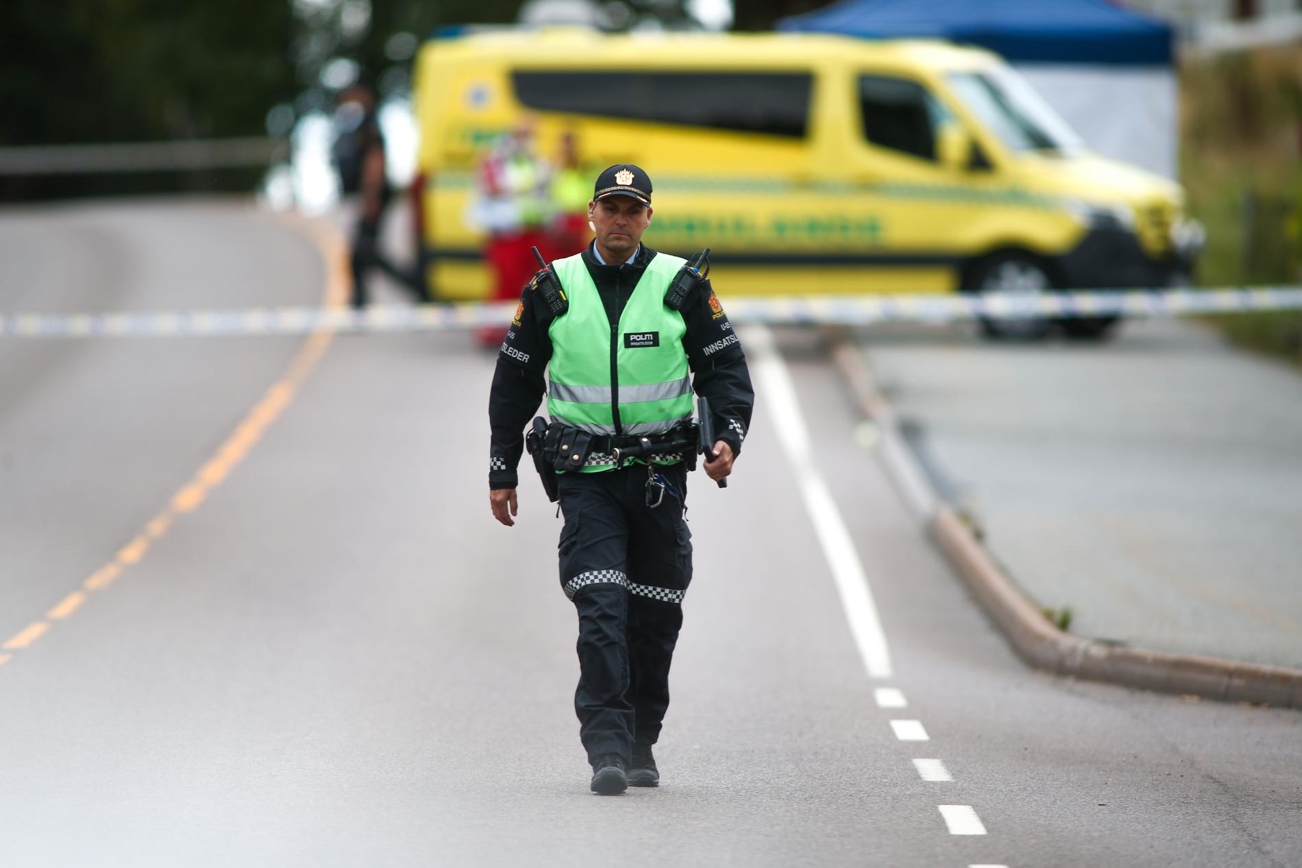 Innsatsleder Frode Petersen ønsker ikke å kommentere hvor mange skudd som ble avfyrt i politiaksjonen i Sarpsborg lørdag morgen. 