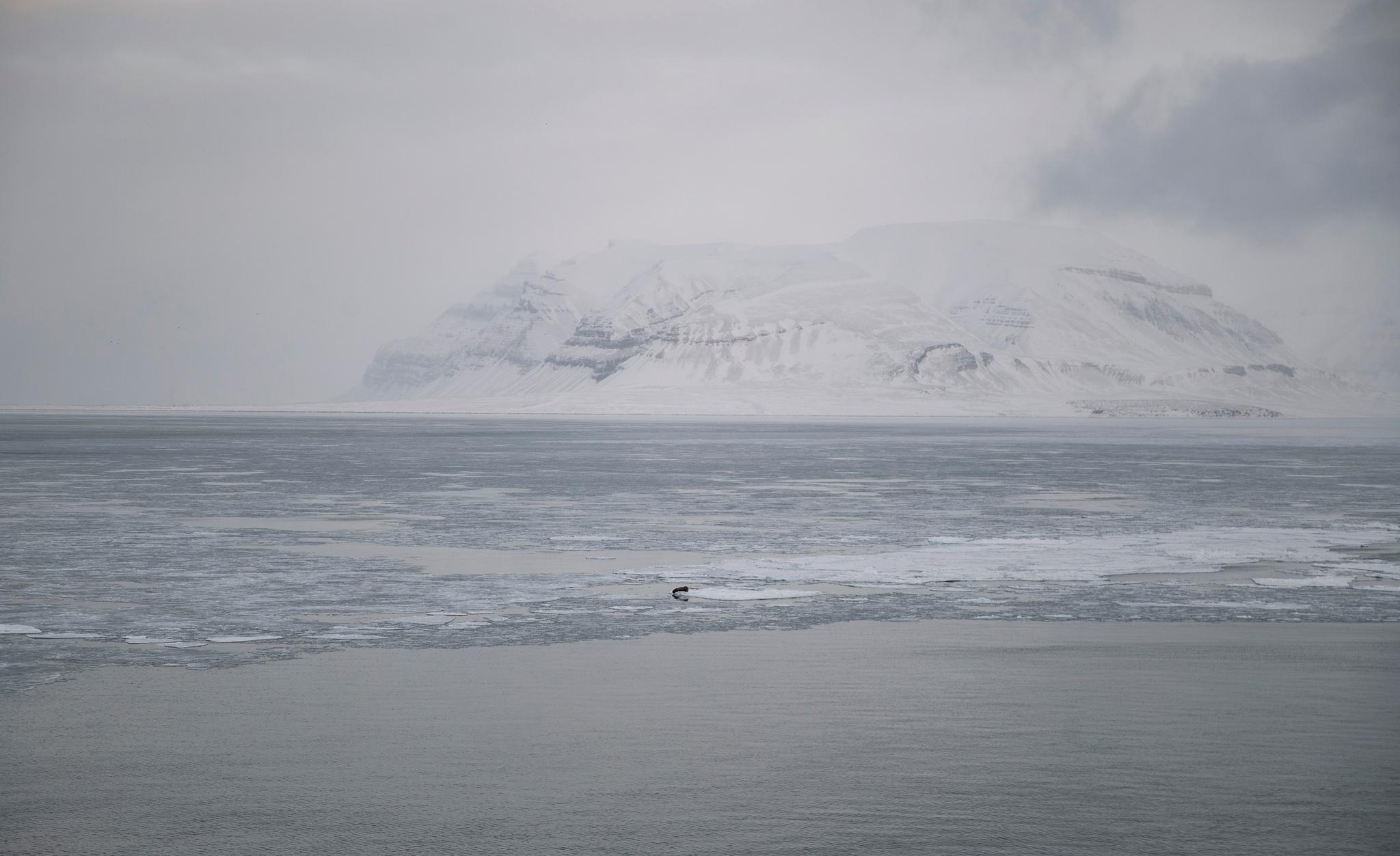Iskantsonen er definert som området der det er 30 prosents sannsynlighet for at isen dekker mer enn 15 prosent av havoverflaten i april måned. April er valgt fordi isen når lengst sør denne måneden. Her fra Svalbard. 