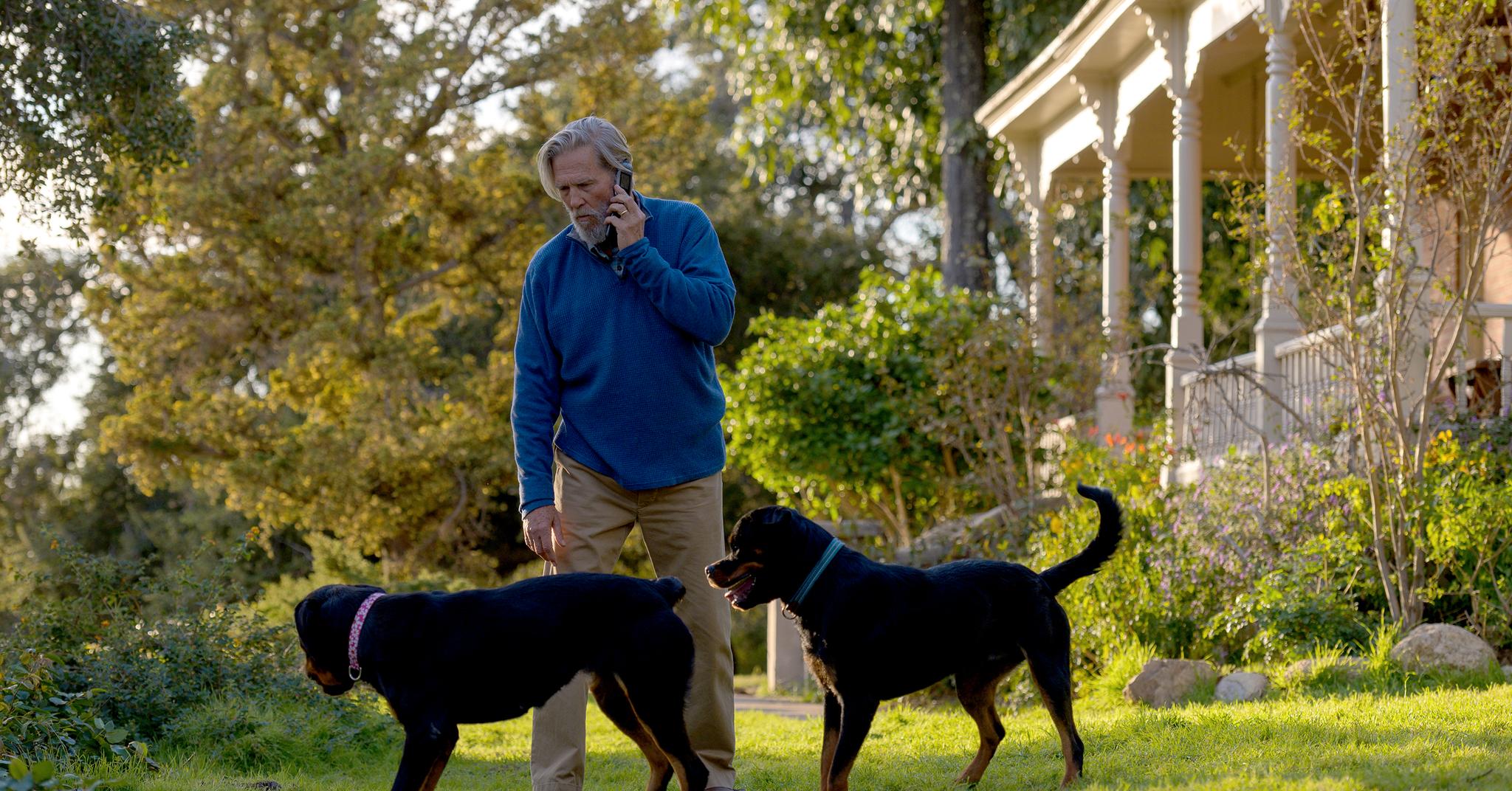 Dan Chase (Jeff Bridges) med Dave og Carol. Hundene er to av seriens strålende «skuespillere».