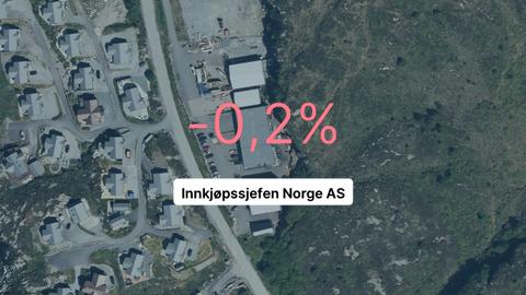 Kraftig innteksvekst for Innkjøpssjefen Norge AS, men likevel røde tall