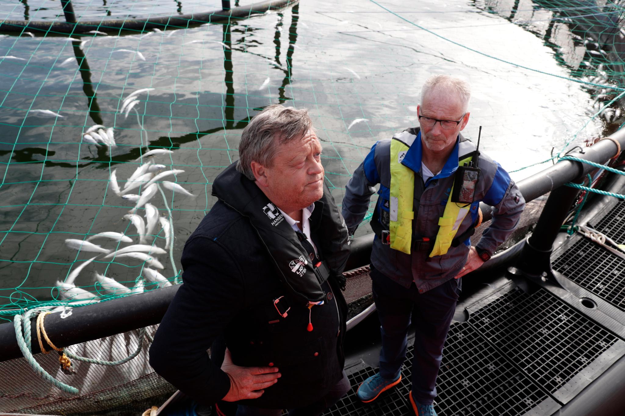 Fiskeriminister Harald T. Nesvik (t.v.) besøkte mandag den algerammede oppdretteren Tom Jarle Bjørkly i Mortenlaks i Nordland. I bakgrunnen ser man død fisk som flyter. 