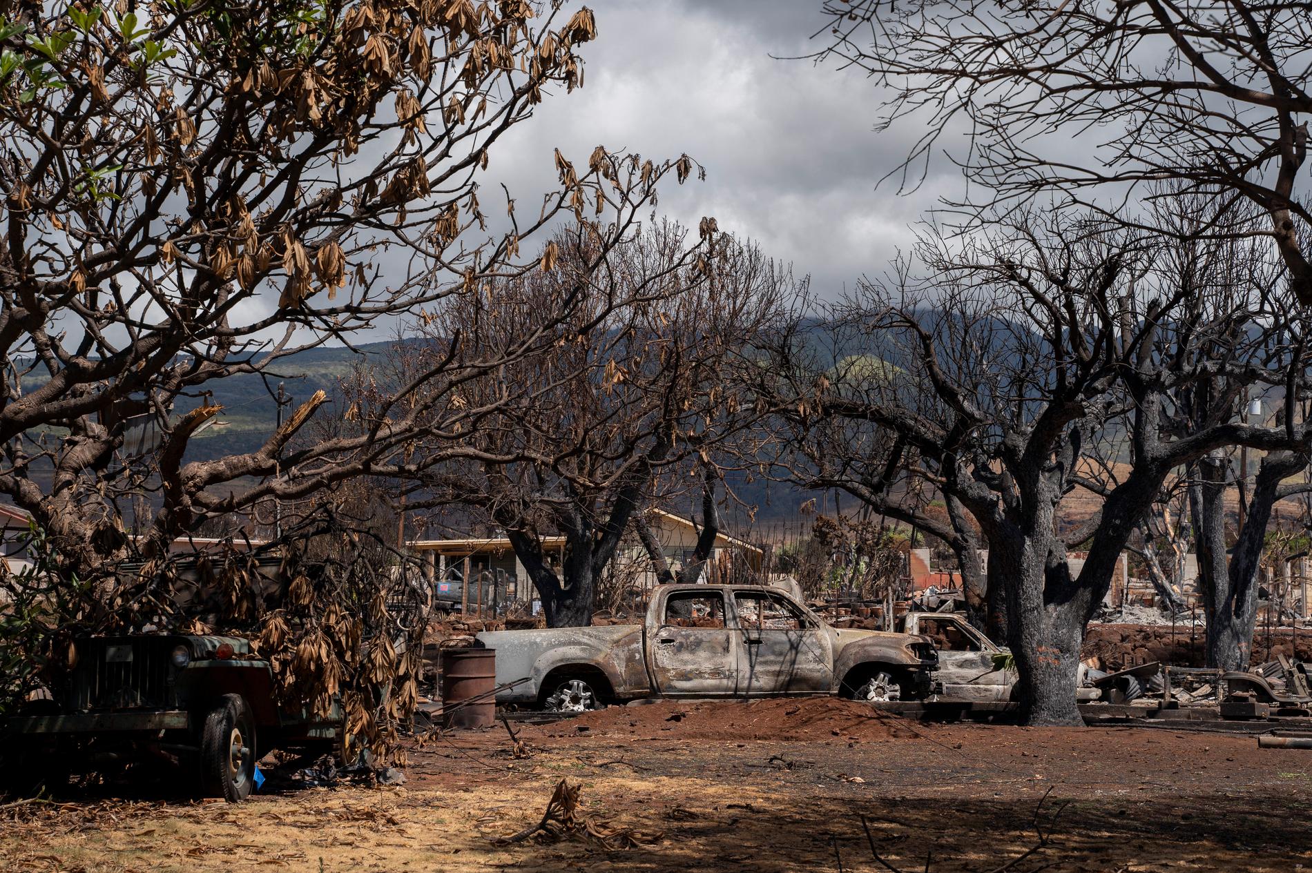 Det er ikke et hyggelig syn som møter innbyggerne i byen Lahaina på Hawaii. Byen ble rasert av brann i august, og først nå får noen av innbyggerne slippe inn i deler av byen. 