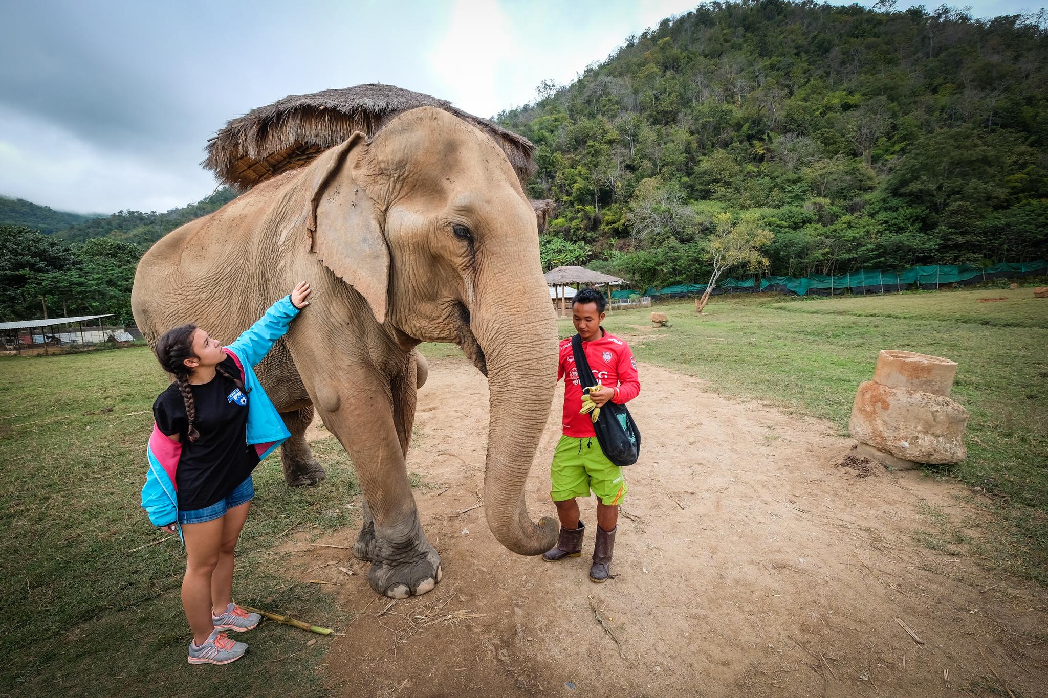 TETT PÅ: Etiske elefantparker er en unik måte for barna å komme nærme på – og lære om – verdens største landdyr.