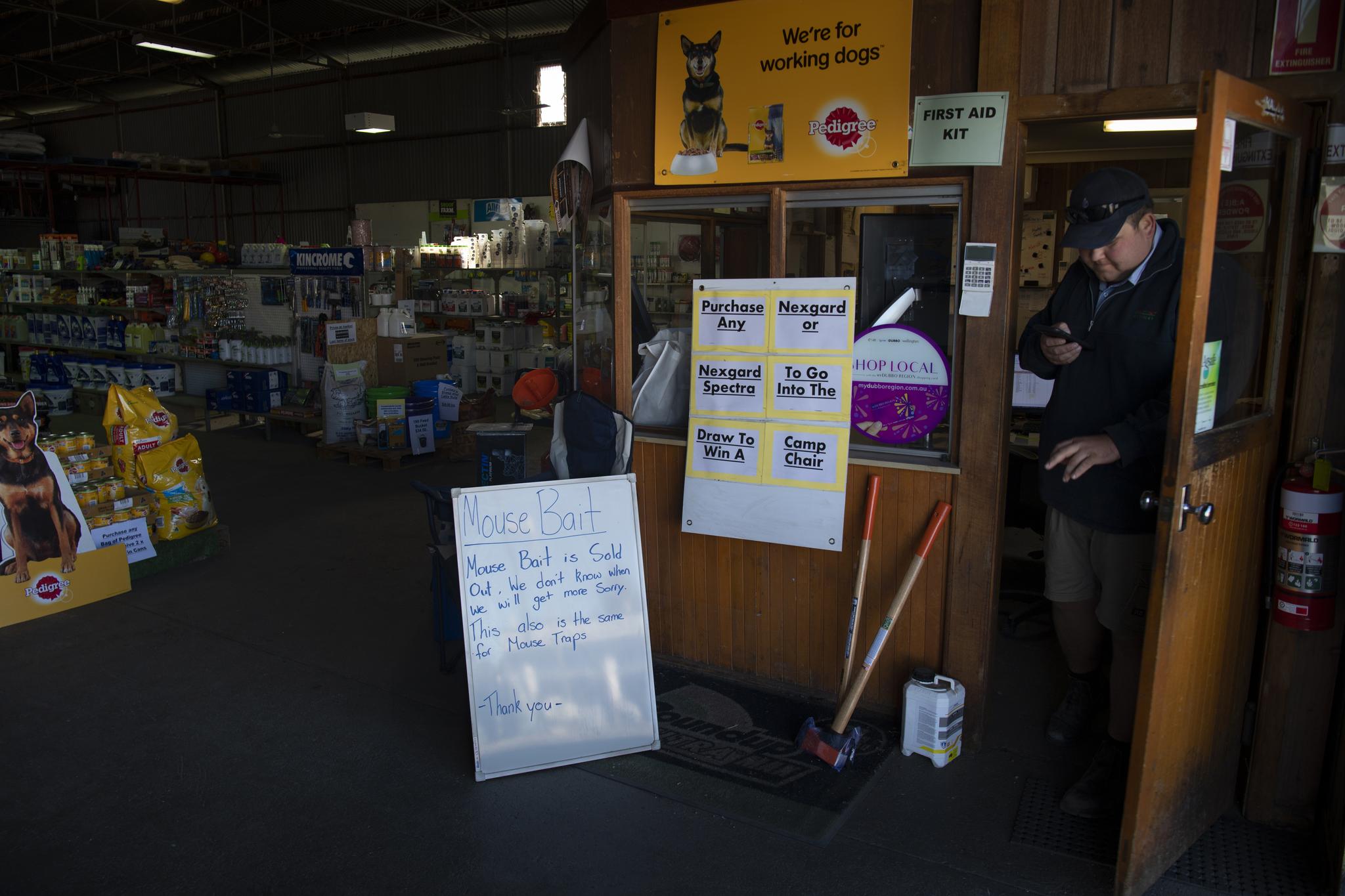 En forretning for landbruksutstyr i Wellington er gått helt tom for musegift og feller. 