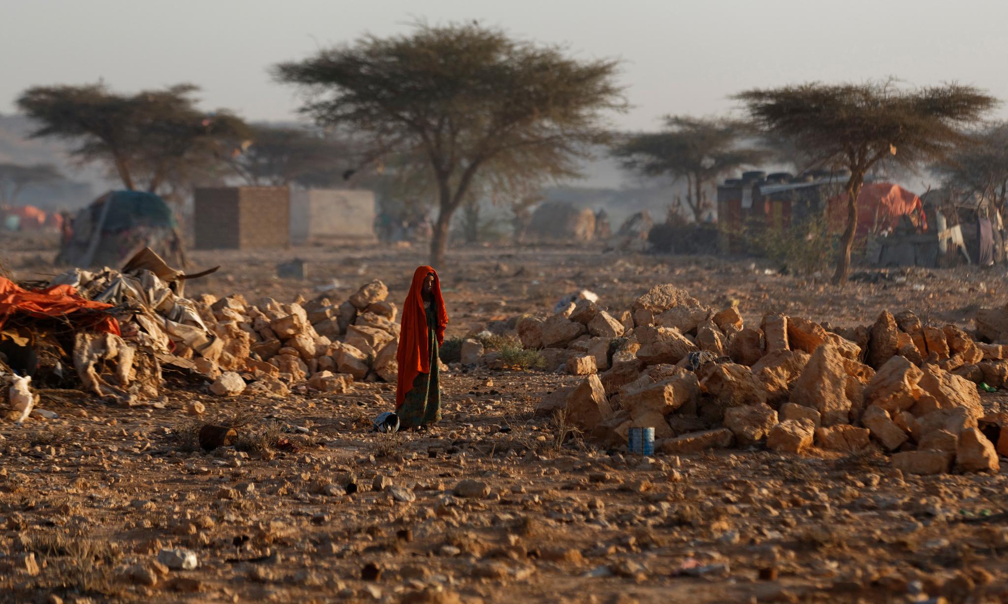 Millioner av mennesker i Somalia er blitt tvunget til å flykte på grunn av tørken. Ifølge FN risikerer 20 millioner mennesker i fire land å dø av sult.