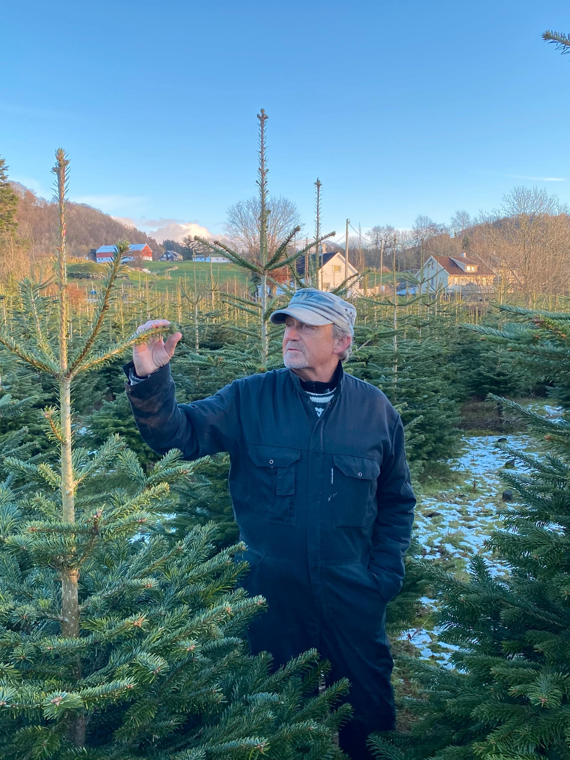 Juletreprodusent Kåre Nordbø avviklar produksjonen etter denne sesongen.|