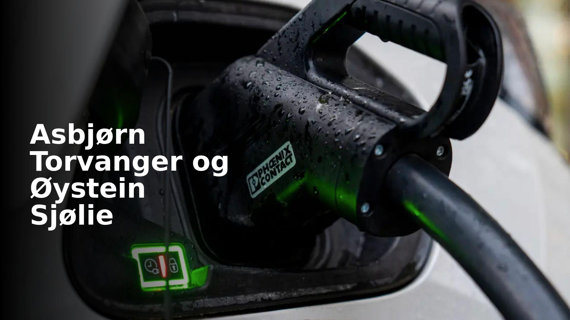 Ingen sitter med fasit på det endelige tallet for hva elbilpolitikken koster