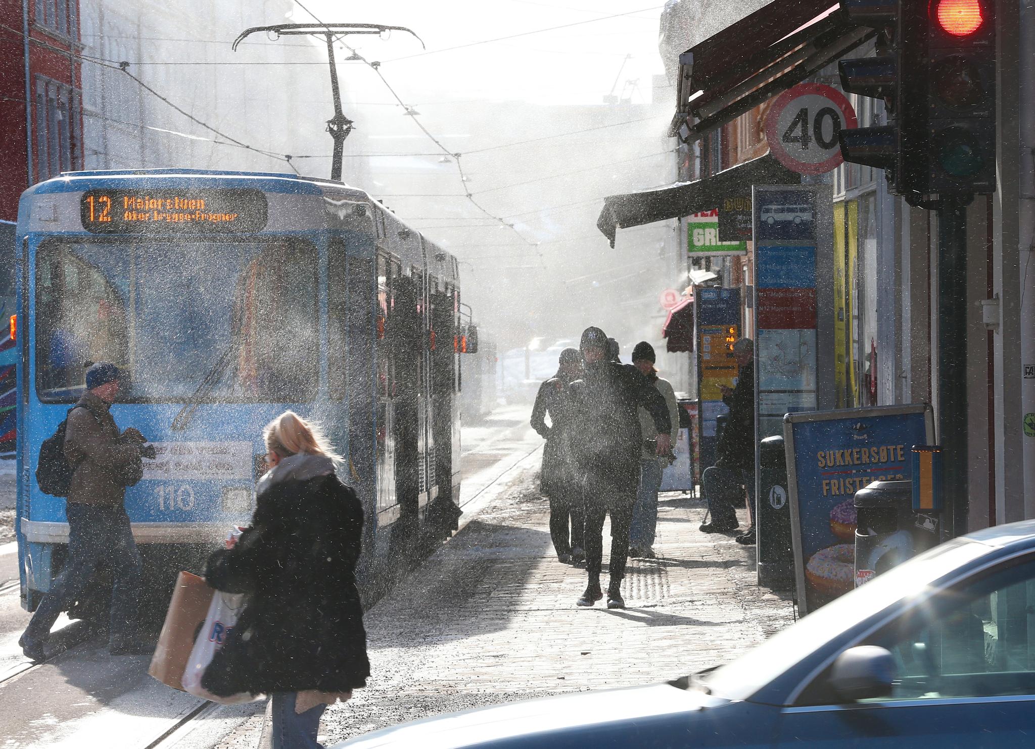 Kulden har festet grepet over det meste av landet - og også over store deler av Europa. Dette bildet er fra Oslo, der temperaturen var nede i 26 minusgrader mandag.