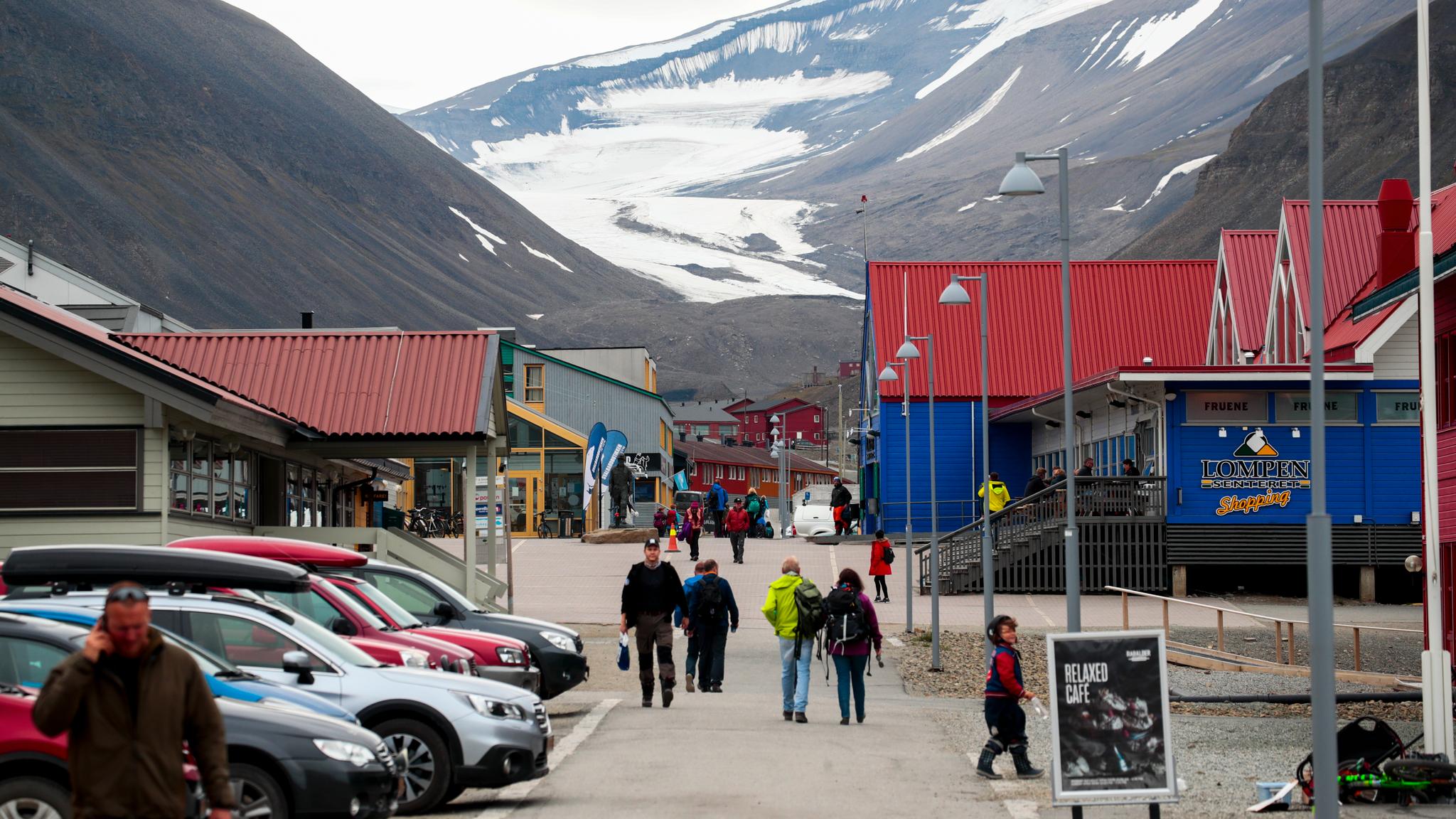 Fugleinfluensa påvist på Svalbard for første gang