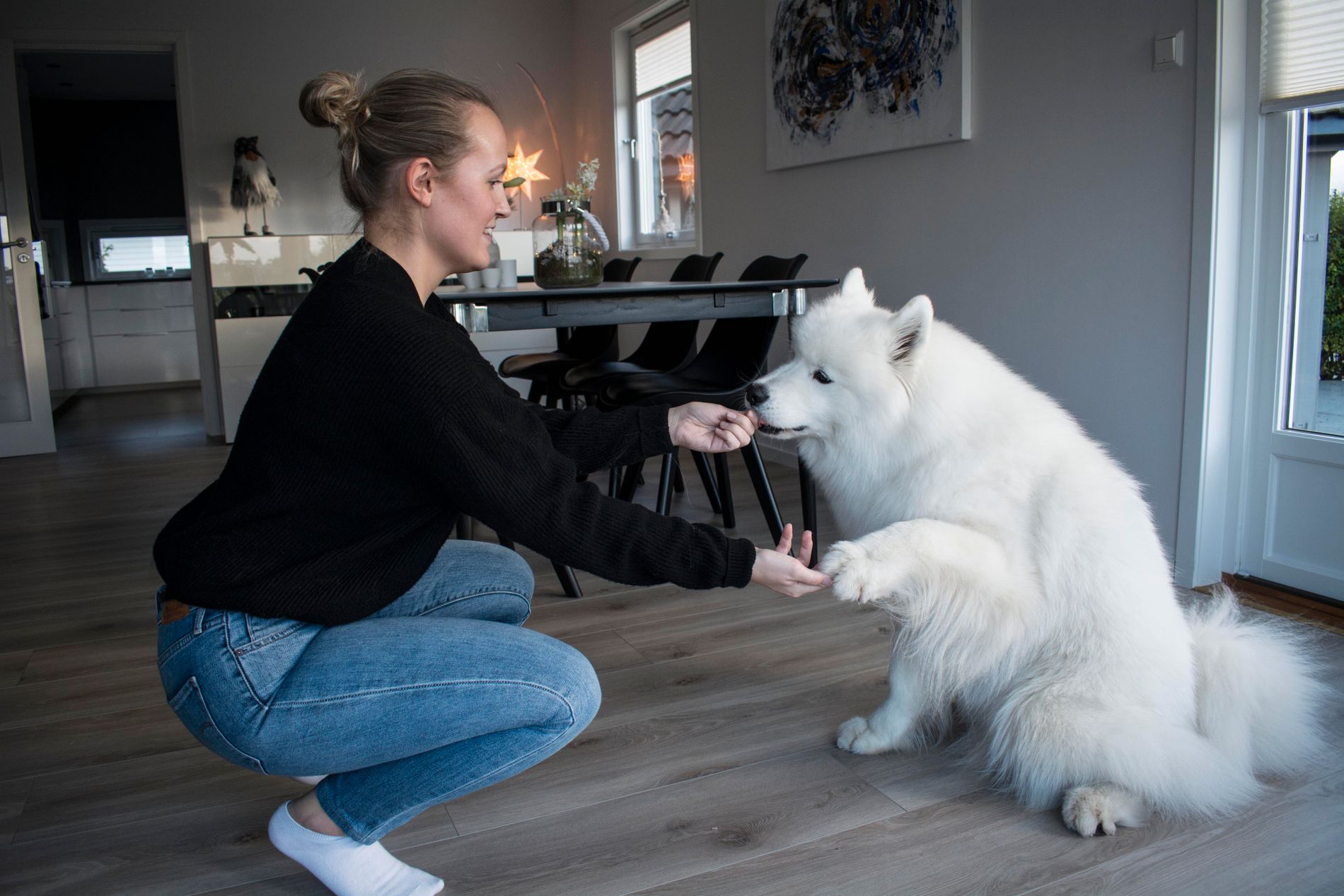 Aline Søndrol hadde alltid ønsket seg en bamsehund, og ønsket seg en hund som passet til hennes og Rosenbergs livsstil. Samojeder trenger mye stimuli, og de går en tur på rundt 60–90 minutter hver dag.