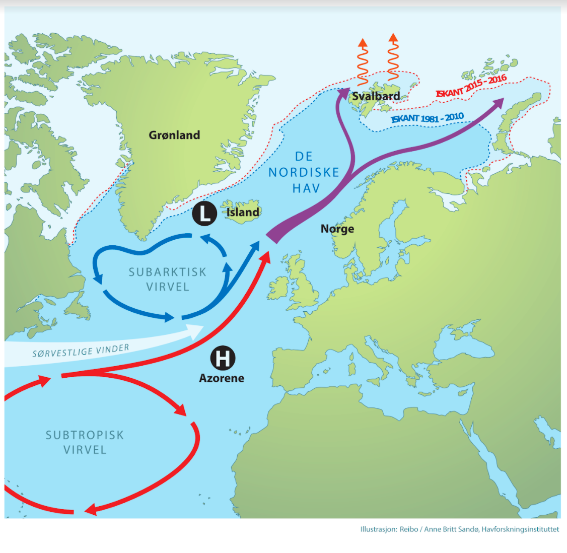 Kartet viser hvordan kaldt vann fra den subarktiske virvelen (blå pil) og varmt vann fra den subtropiske virvelen og Golfstrømmen (rød pil) blandes sammen i Nord-Atlanteren og drives inn i Norskehavet av de sørvestlige vindene (hvit pil), og videre nordover mot Arktis (lilla pil). Både økosystemer langs norskekysten og iskanten i Barentshavet er sensitive for endringer i havtemperaturen.