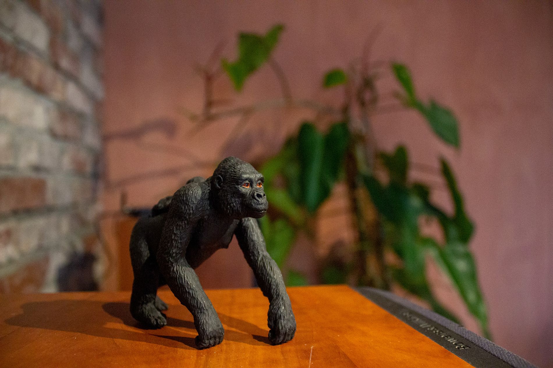 Gorillaen har blitt Bellies maskot. – Den symboliserer det ville, store og sterke, samtidig som den spiser plantebasert. Den er også sårbar overfor hvordan vi behandler kloden vår, sier Ohna. 