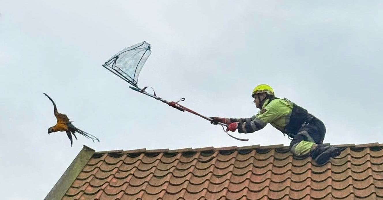 Uvanlig oppdrag for brannvesenet: – Det gjelder å ikke gi seg