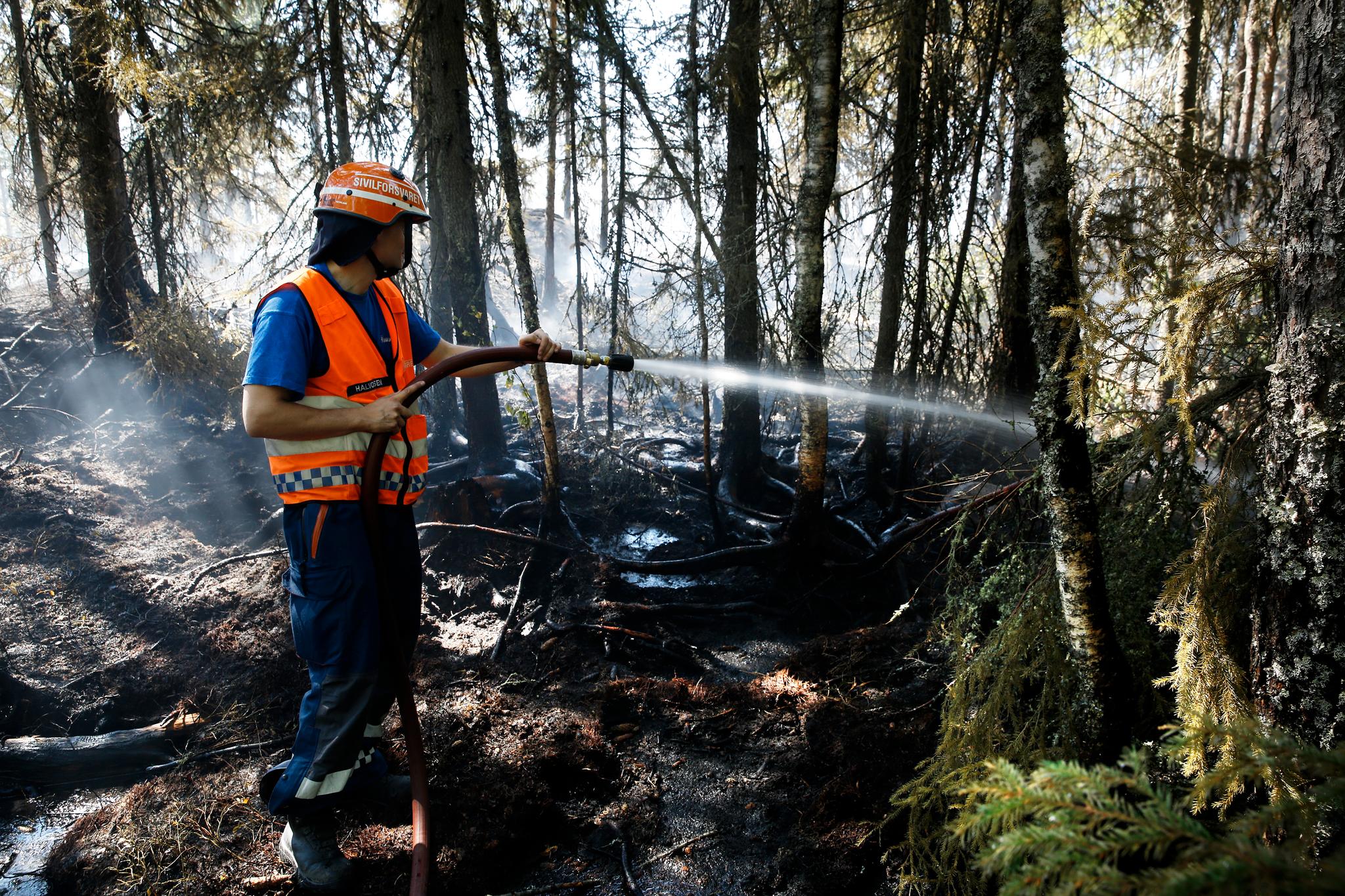 Slukningsarbeid for skogbrann i Auli i Nes kommune. Situasjonen i Nes er fortsatt krevende søndag formiddag 