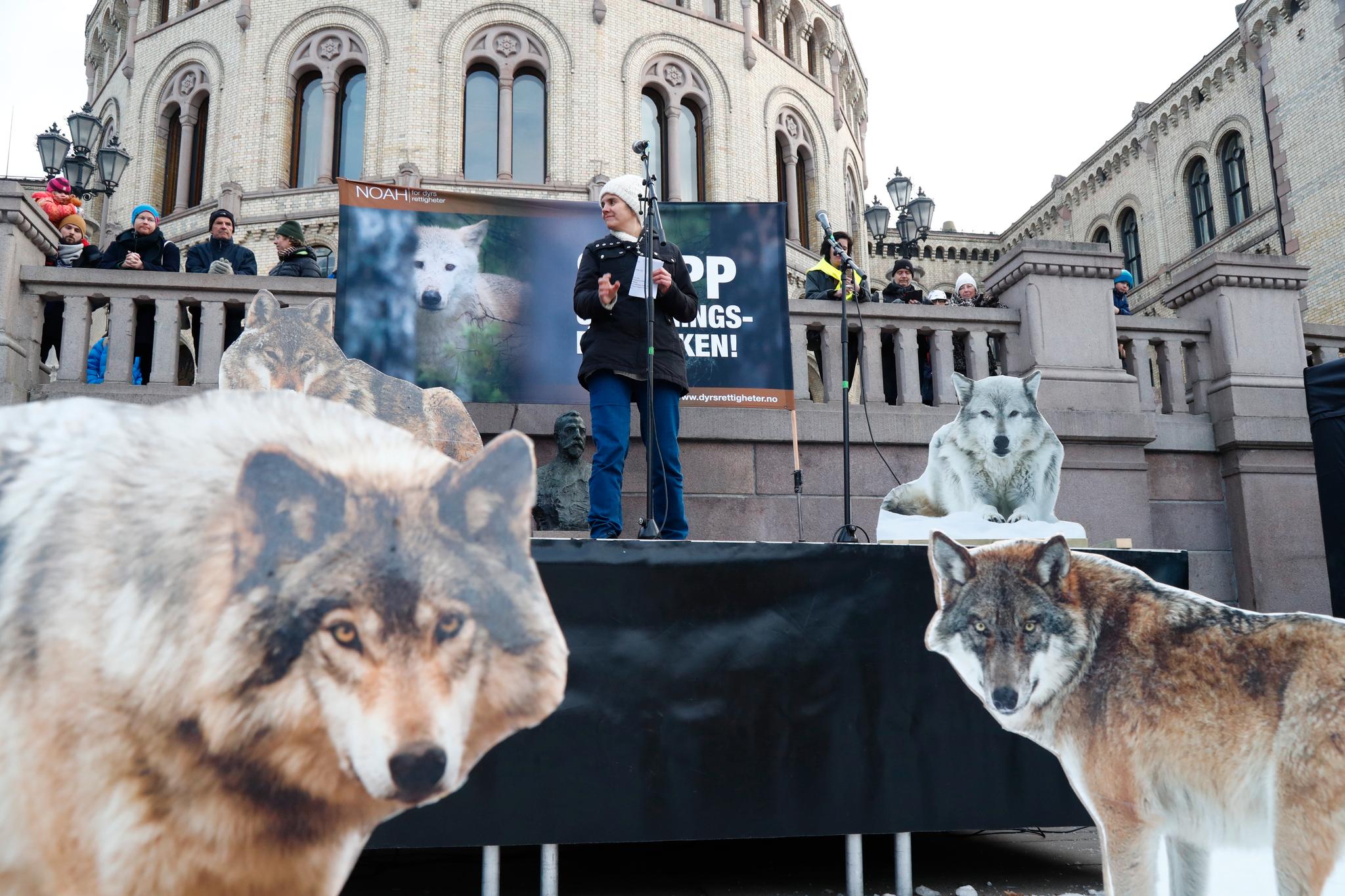 Noah-leder Siri Martinsen under en markering for rovdyr i Oslo i 2019. 