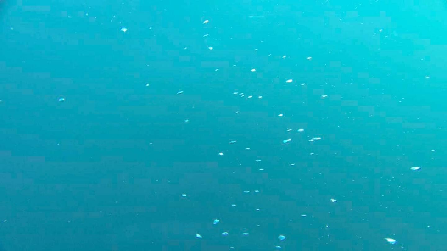 Store mengder fjærlignende boble med metangass bruste til overflaten i Laptevhavet utenfor Sibir i sommer. Forskerne som oppdaget det ble overrasket og bekymret.