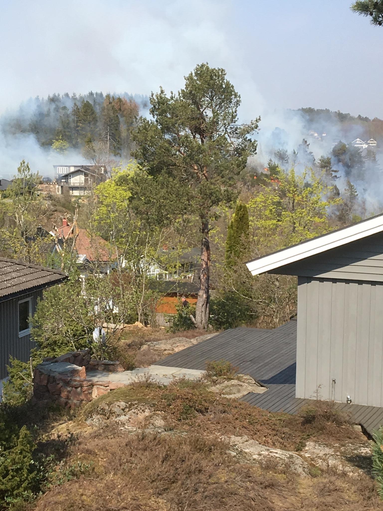På Solnes i Melsomvik var flere bolighus truet. – Det er kraftig vind som blåser fra sjøen og inn over land slik at flammene sprer seg raskt, forteller Aftenpostens tipser, Brit Hom Lunde.