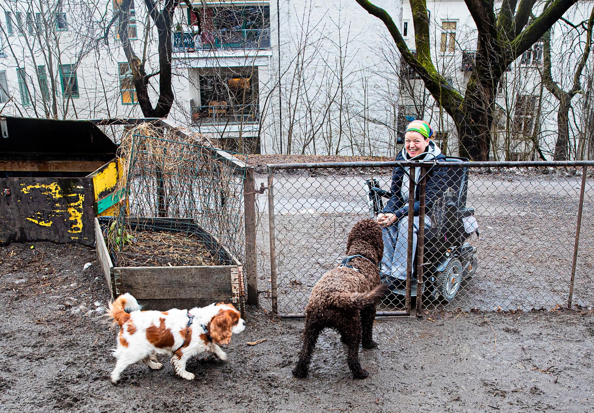 Ida Tennøe Andersen og hunden Mio (v.) har kommet til parken nesten hver dag siden han ble født. 