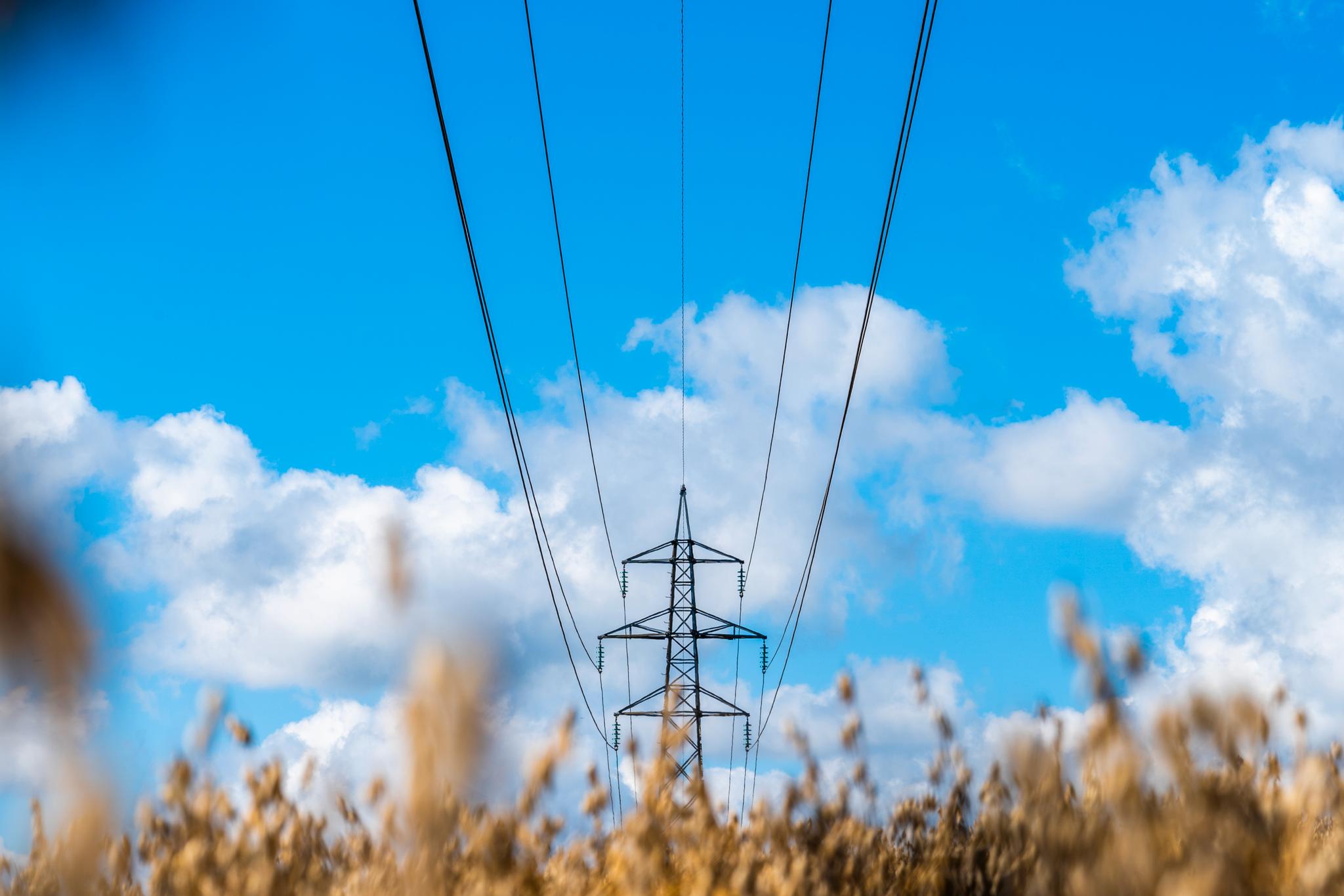 334.000 bestilte norgespris i går: – Ingen overraskelser