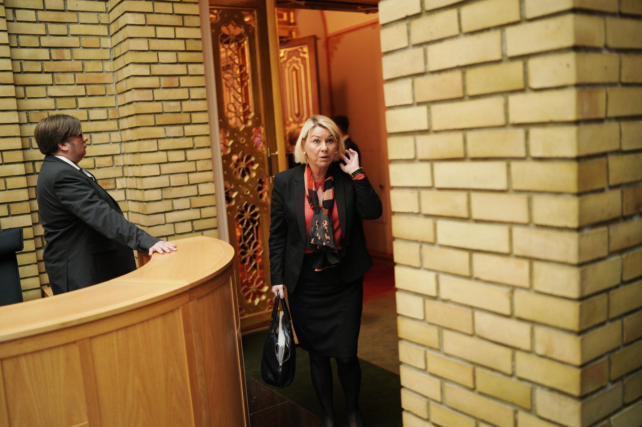  Kommunal- og moderniseringsminister (H) Monica Mæland mottar fredag rapporten fra Fylkesmannen i Hedmark om Tolga-saken. 