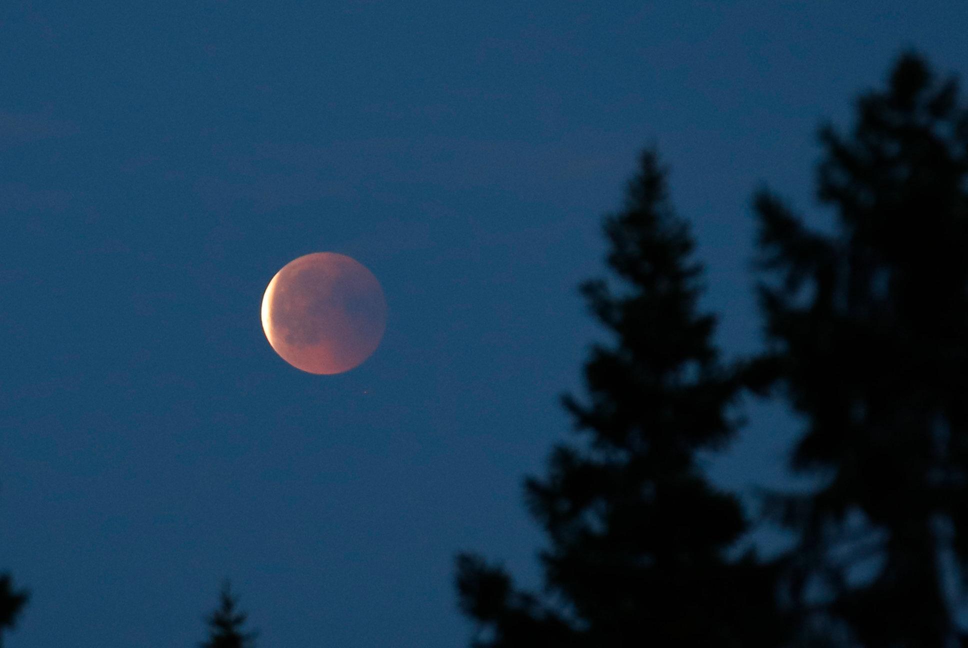 Spektakulær blodmåne søndag – synlig i hele Norge