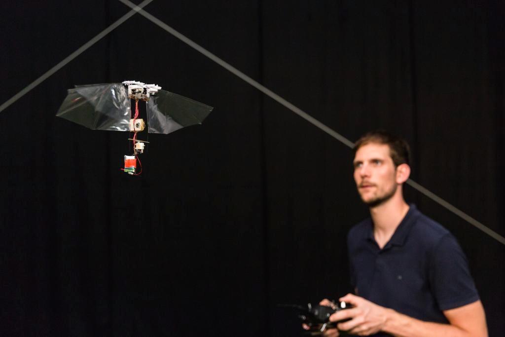 Forsker Matěj Karásek tester ut en DelFly-robot ved Delft-universitetet i Nederland. Forskerne ønsker å se om det er mulig å skape svermer av dronelignende robotbier som kan brukes til pollinering i en tid hvor insektsdøden er stor.