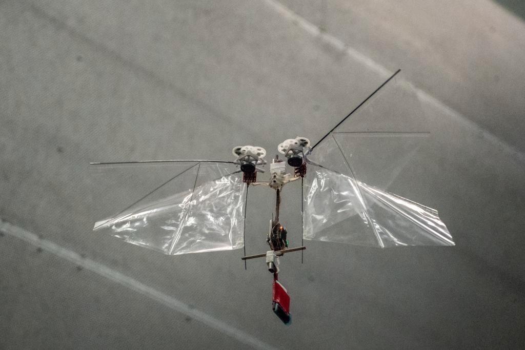 Insektsroboten DelFly prydet september-utgaven til forksningsmagasinet Science. De nederlanske forskerne bak prototypen mener de kan fungere som erstattere for pollinerende insekter hvis krisen setter inn.