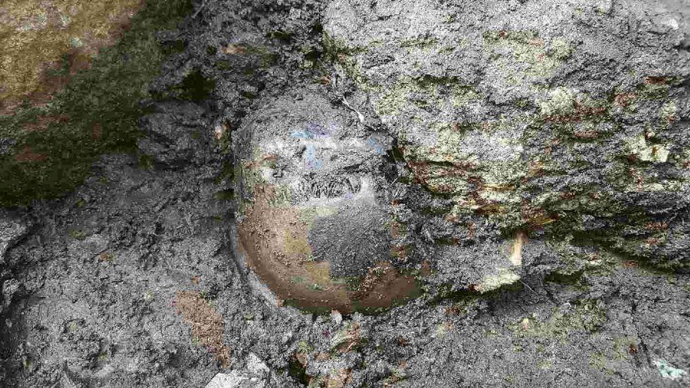 Dette er birkebeinerens hodeskalle. Skallen ble funnet under en stein i nærheten av resten av skjelettet.