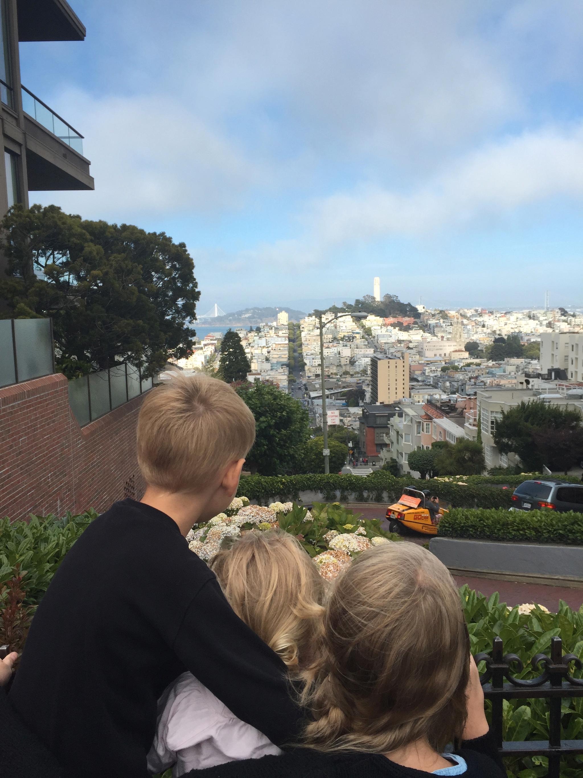 UTSIKT: Fra toppen av Lombard Street i San Francisco kan man se hele byen.