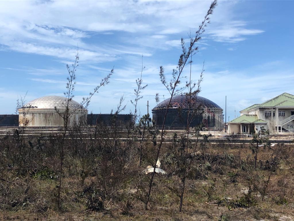 Trær og gress er innsmurt i olje rundt anlegget. Øyenvitne Luke Hopper forteller at han har sett oljeskadede og døde fugler. 
