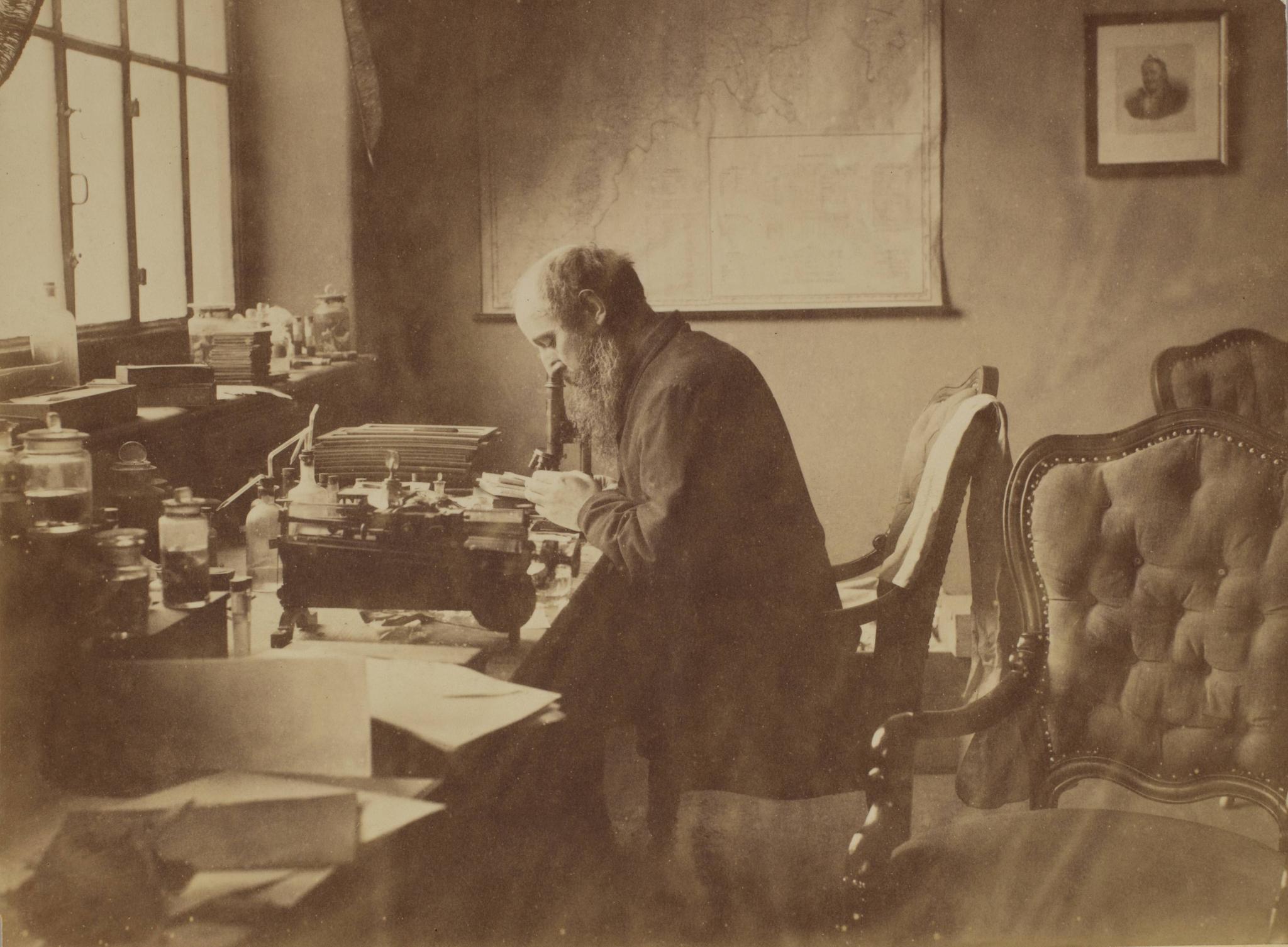 Gjennombruddet. På sitt kontor gjenskaper Gerhard Henrik Armauer Hansen det største øyeblikket i norsk legevitenskapelig historie: Oppdagelsen av leprabasillen i 1873.