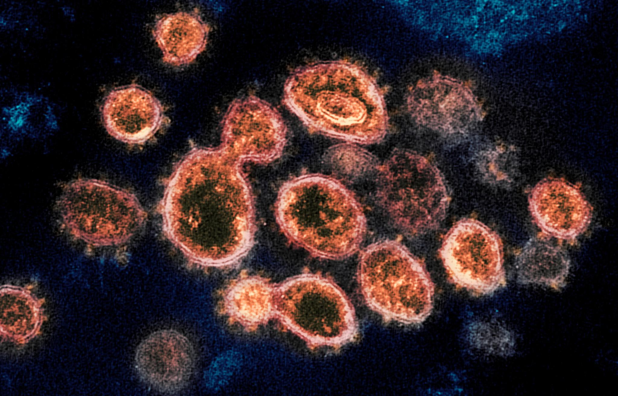 Erik Boye forklarer i artikkelen hvordan mutasjoner kan påvirke virusets evne til å infisere en celle og til å utløse sykdom.