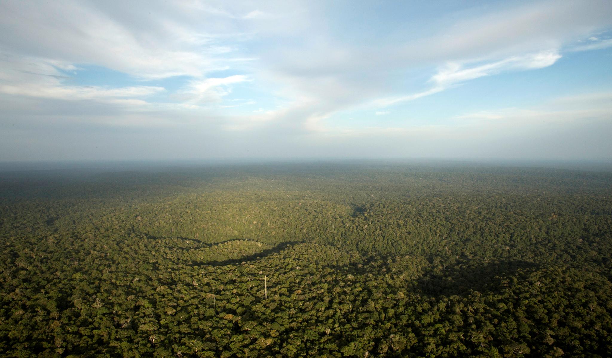 Utsikt over regnskogen fra Amazon Tall Tower Observatory (ATTO) i Sao Sebastiao do Uatuma. Avskogingen av Amazonas-regnskogen har skutt fart det siste året.