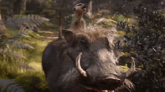 Nesten ugjenkjennelig: Timon og Pumba er ute på eventyr i nye Løvenes Konge.