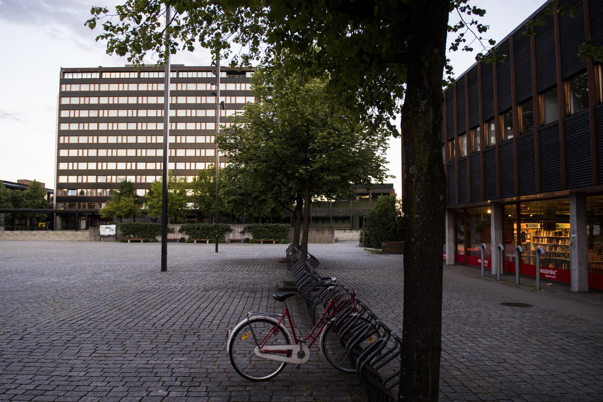 Årets opptak til høyere utdanning er klart. I august vil det vrimle av nye UiO-studenter på Frederikkeplassen på Blindern. 