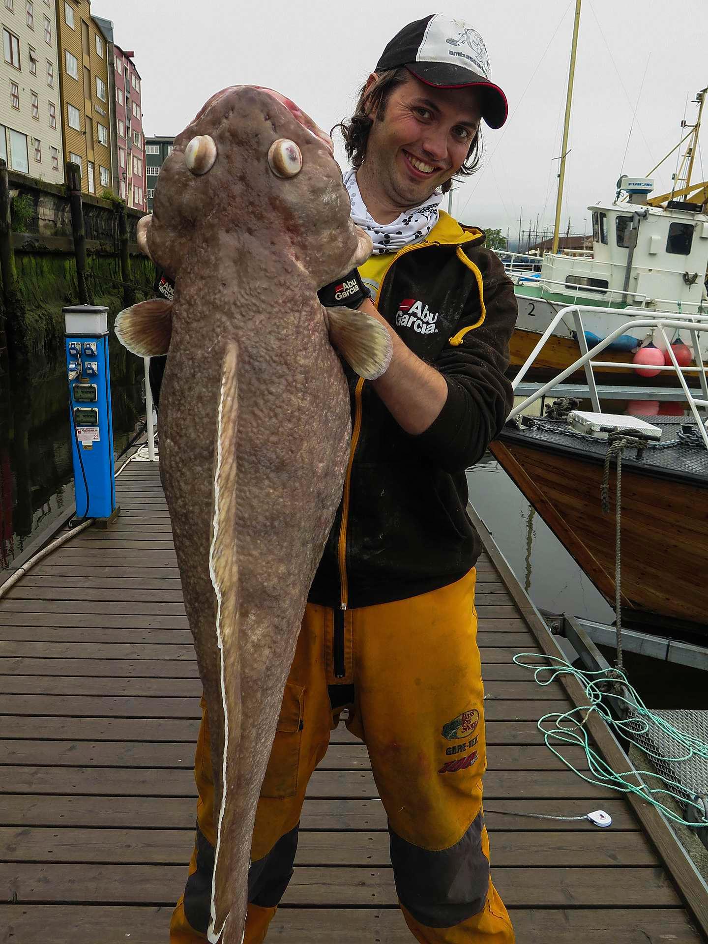 Florø-Larsen har den offisiell norgesrekord på brosme. Den er på 17,26 kilo, og fisken er tatt like utenfor Trondheim sentrum.