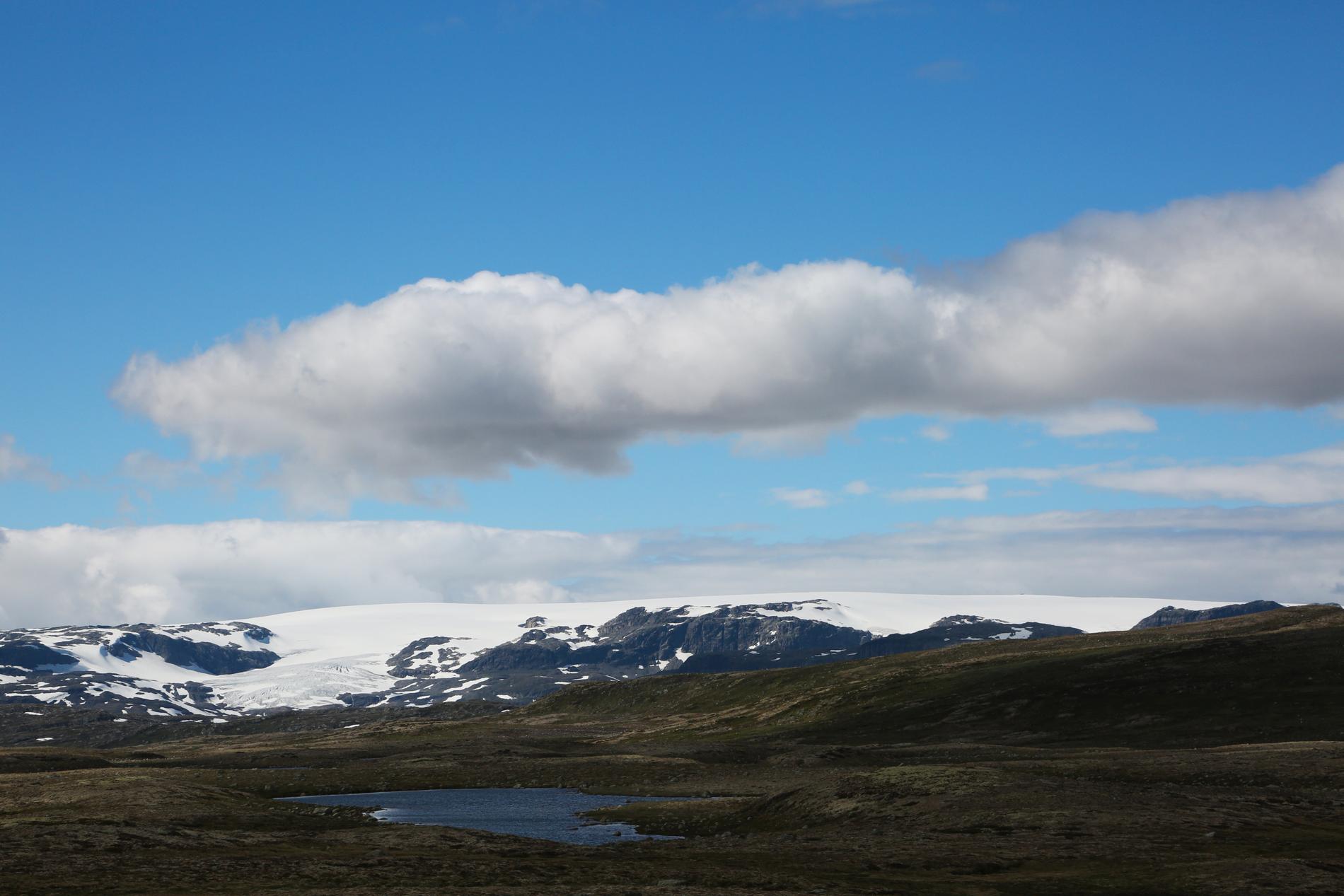 Turen nordover starter lørdag og går over Hardangervidda (bildet), gjennom Jotun- og Trollheimen, Steinkjær og Mosjøen. All overnatting er planlagt utendørs. 