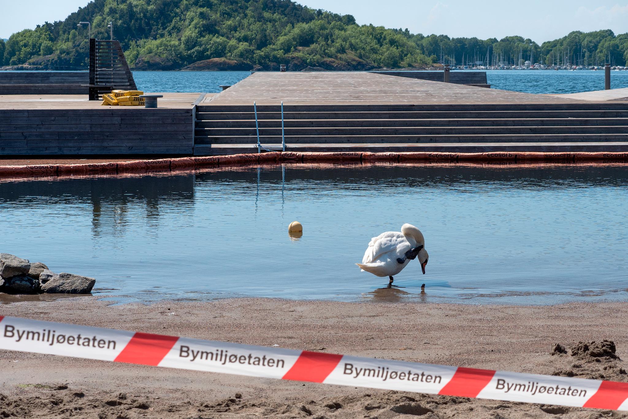 Gjerder og sperrebånd møter Oslo-beboere som hadde tenkt å nyte et forfriskende sjøbad på Sørenga i dag. 