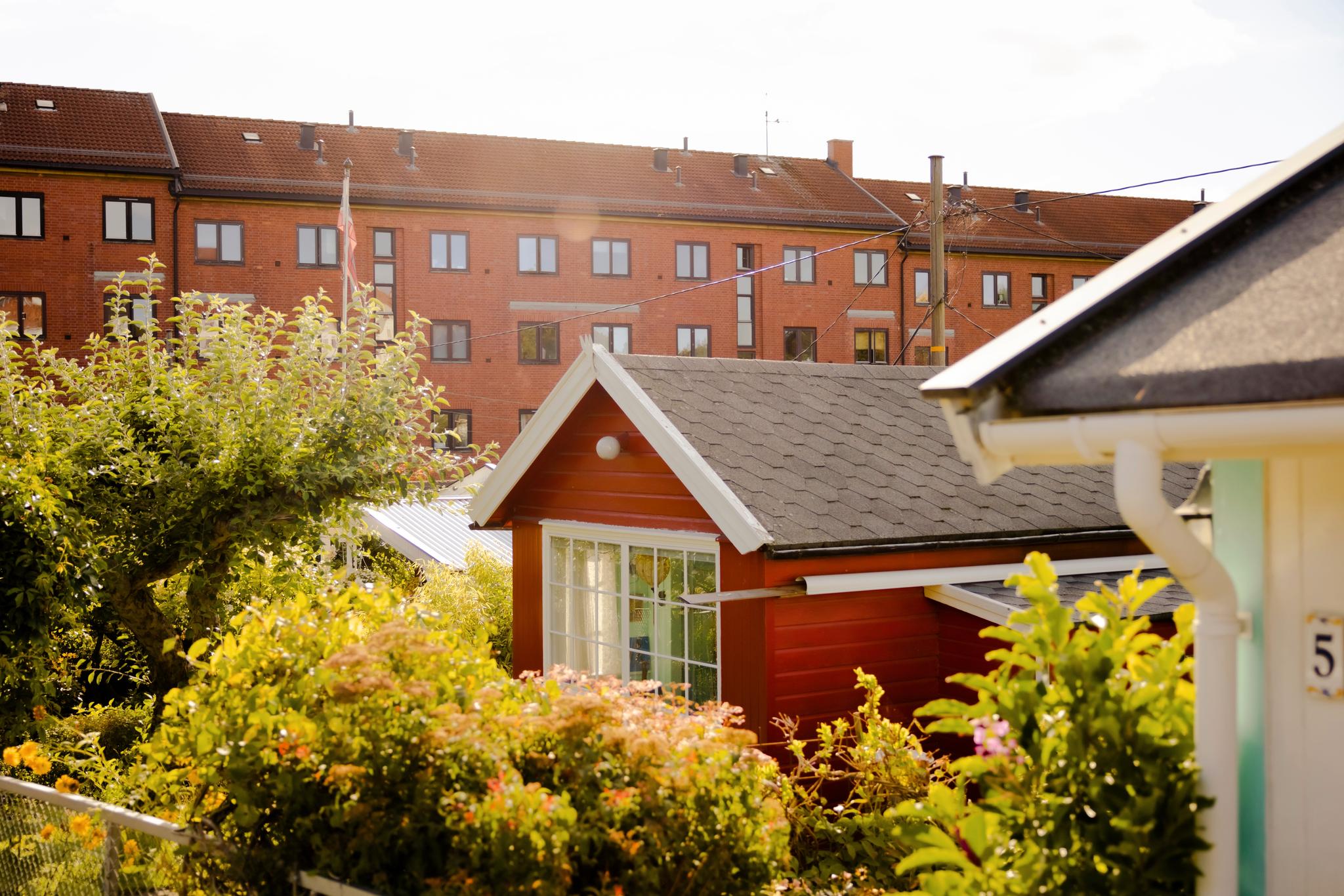 Noen bor trangt i blokk, mens andre kan ha hytte med hage midt i byen. Oslo-politikerne mener kolonihagene er et gode for hele byen.