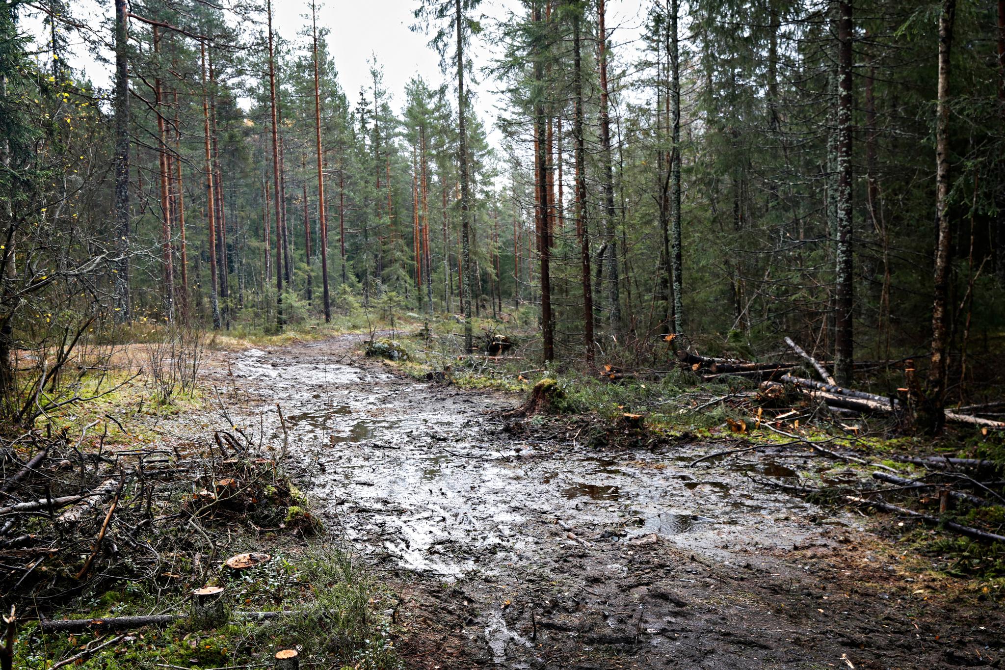  Historisk ble Gamle Gruvevei brukt for transport av malm fra Linderud gruver. I dag brukes den av turgåere i Lillomarka. Om vinteren er den del av de skuterkjørte skogsskiløypene. 