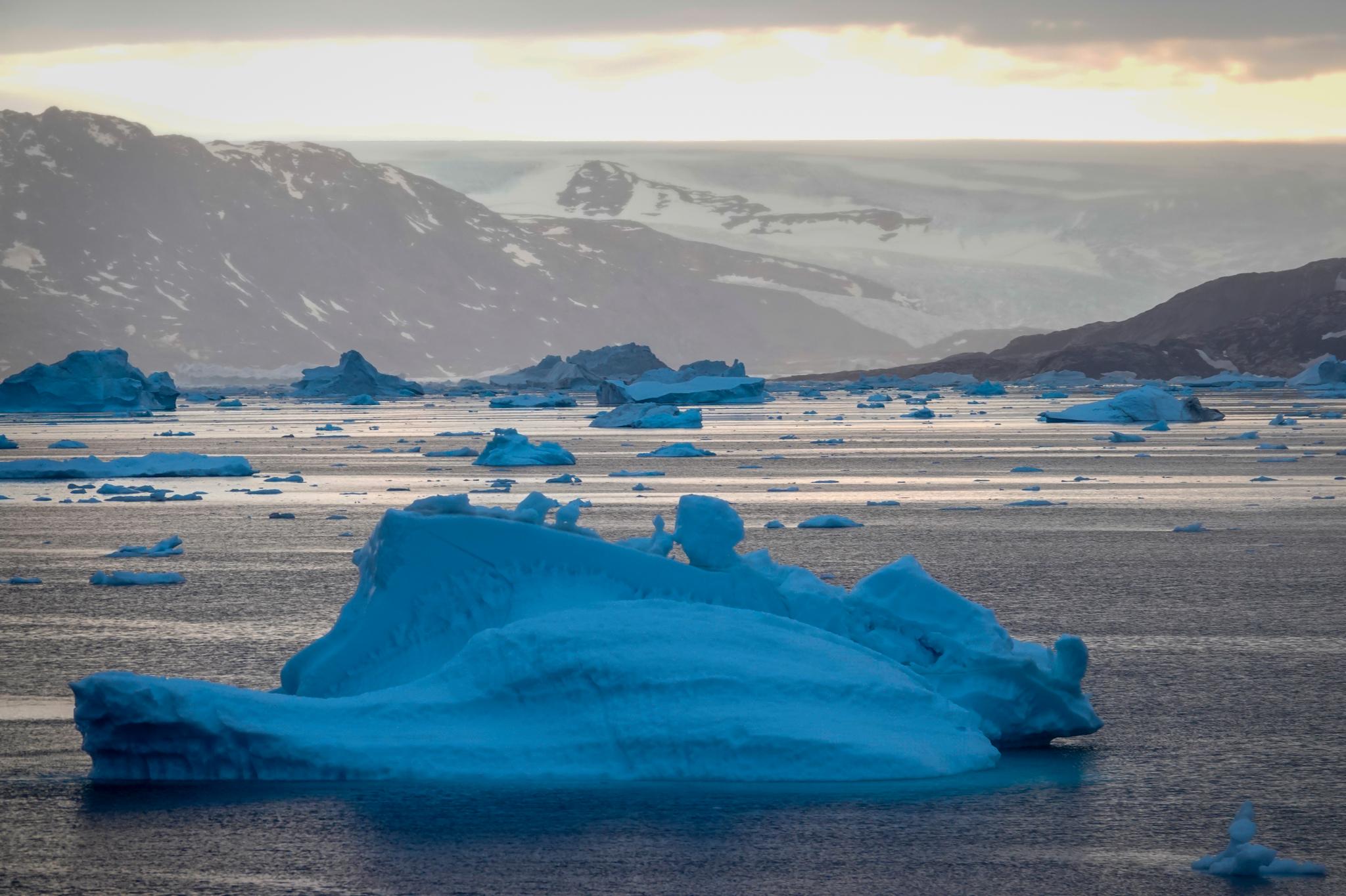 Drivende isfjell i Sermilikfjorden på Øst-Grønland i 2018.