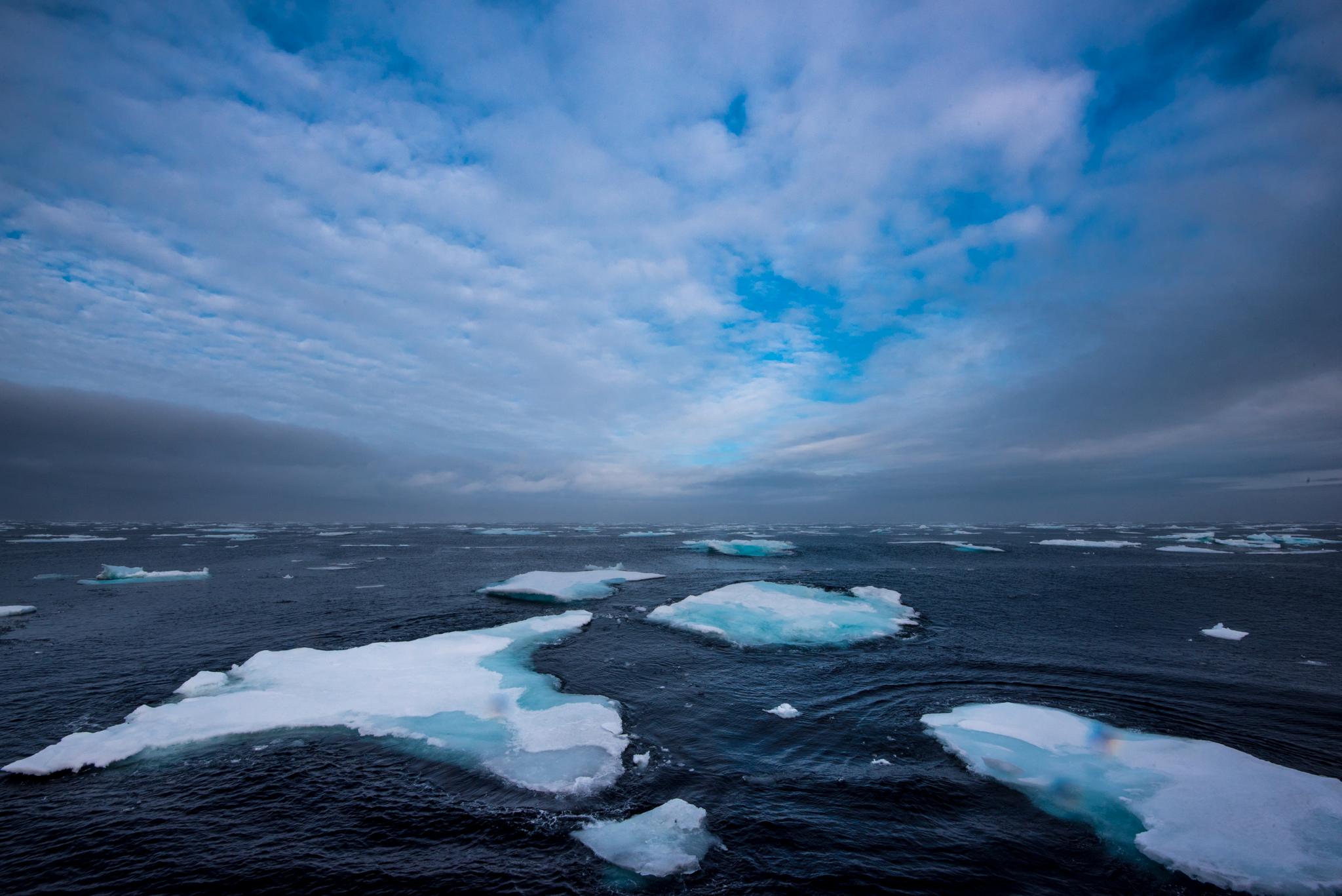  Vi ser forandringer i det fysiske havmiljøet i Polhavet, som i sin tur fører til at økosystemene nord for Svalbard endrer seg, skriver artikkelforfatterne. 