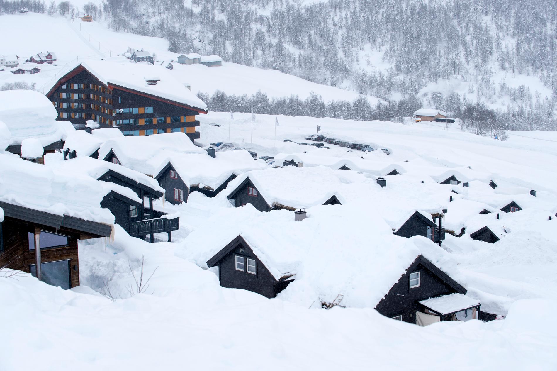 Preventing Water and Frost Damage to Norwegian Cabins: Expert Tips and Warnings