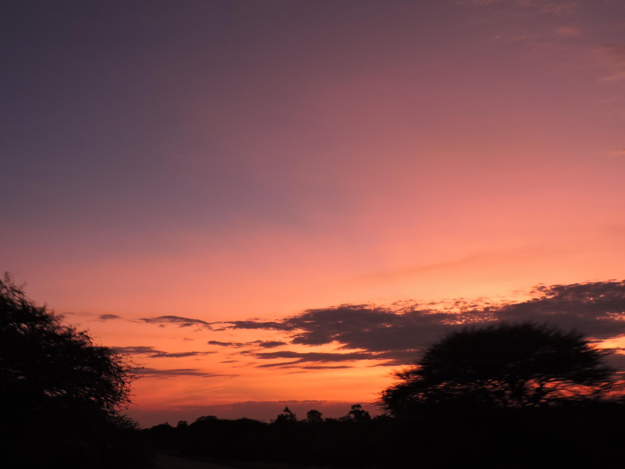 AFRIKANSK SOLNEDGANG: Rød himmel over landskapet.