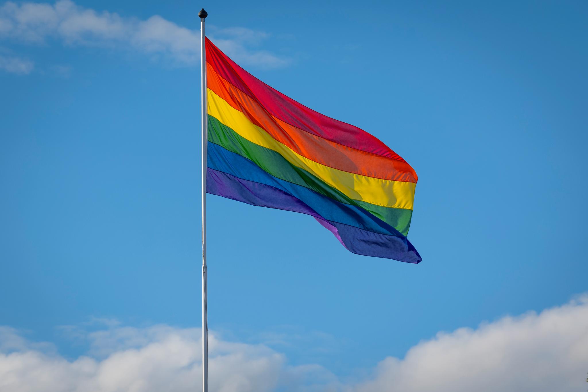 Danmarks største influenser så regnbueflagget på barnas skole – flyttet tilbake til Syria