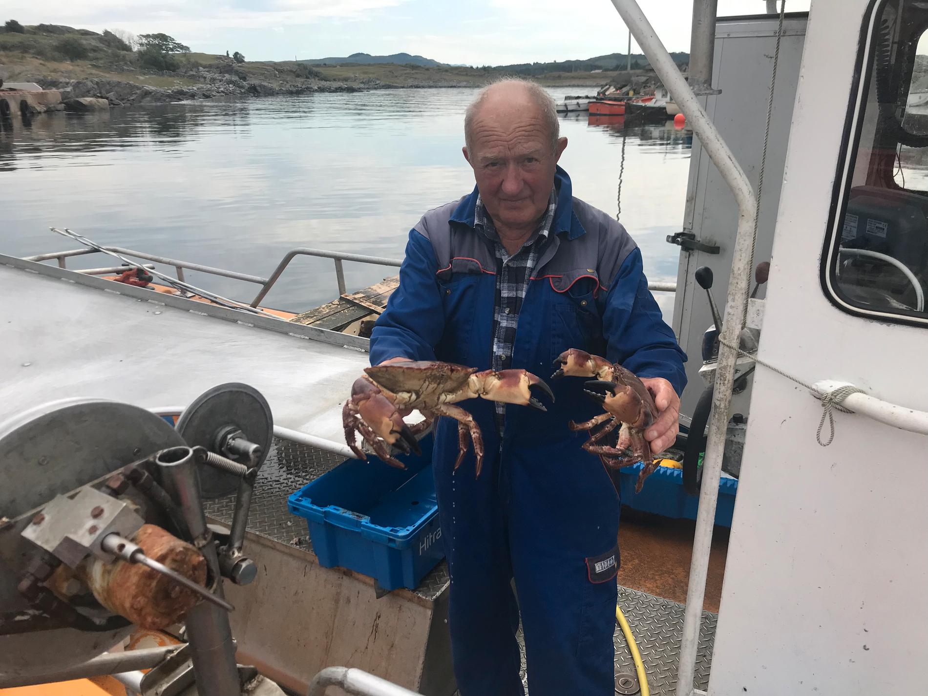 Gunnar Hodnefjell fortel at det er eit godt år for krabbefiske. Mange og store krabbar med mykje mat.