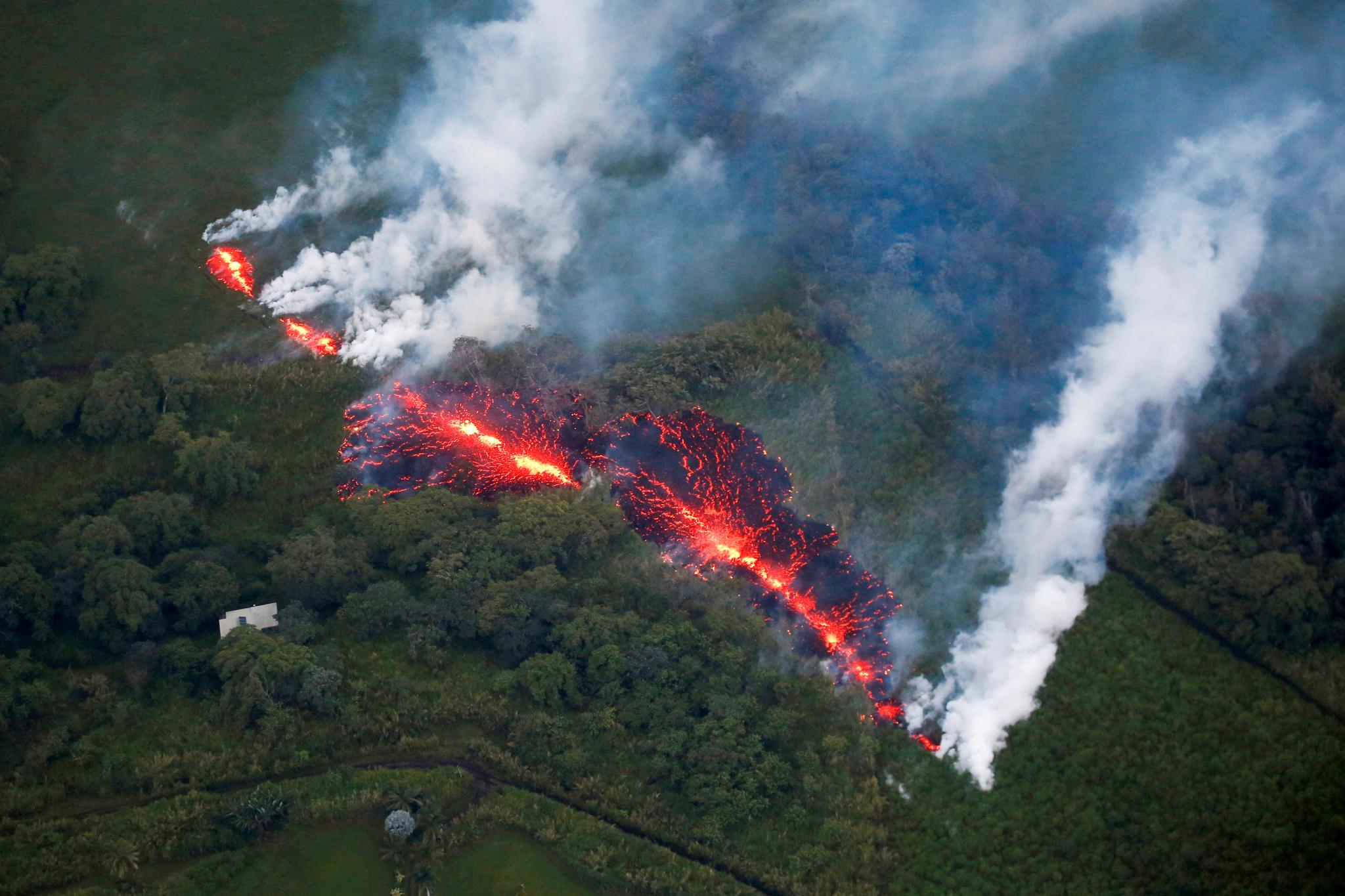 Lavaen renner ut av en sprekk i skogen øst for Leilani 18. mai