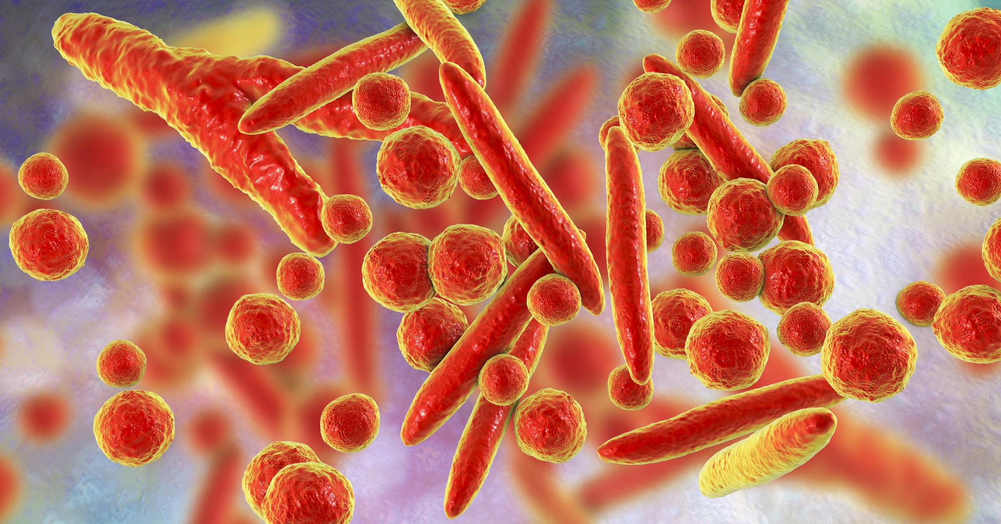 Rising Threat of Mycoplasma Pneumoniae: Post-Pandemic Health Concerns