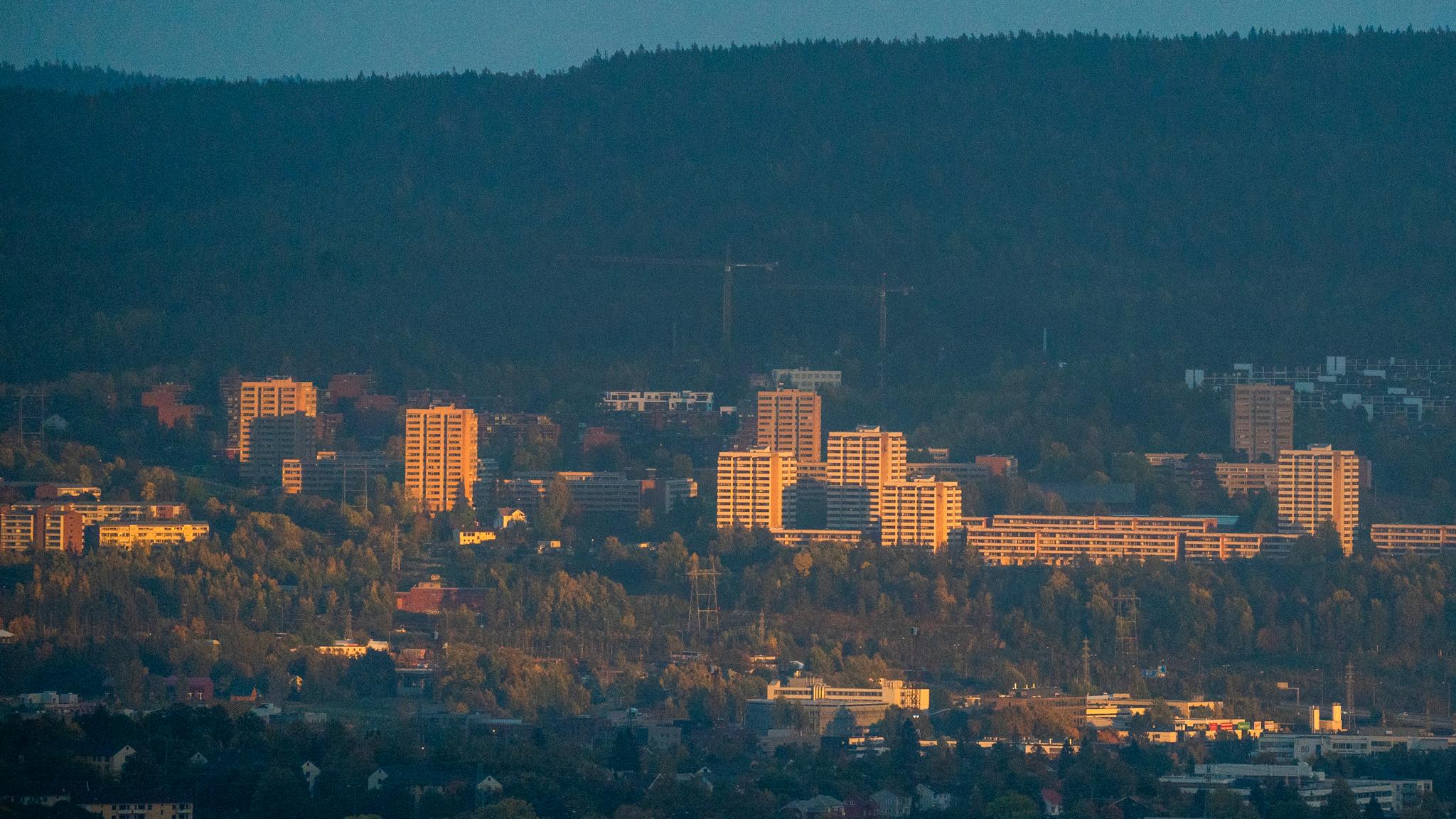 Oslo-rektor på sykehus etter å ha blitt angrepet av mindreårig gutt