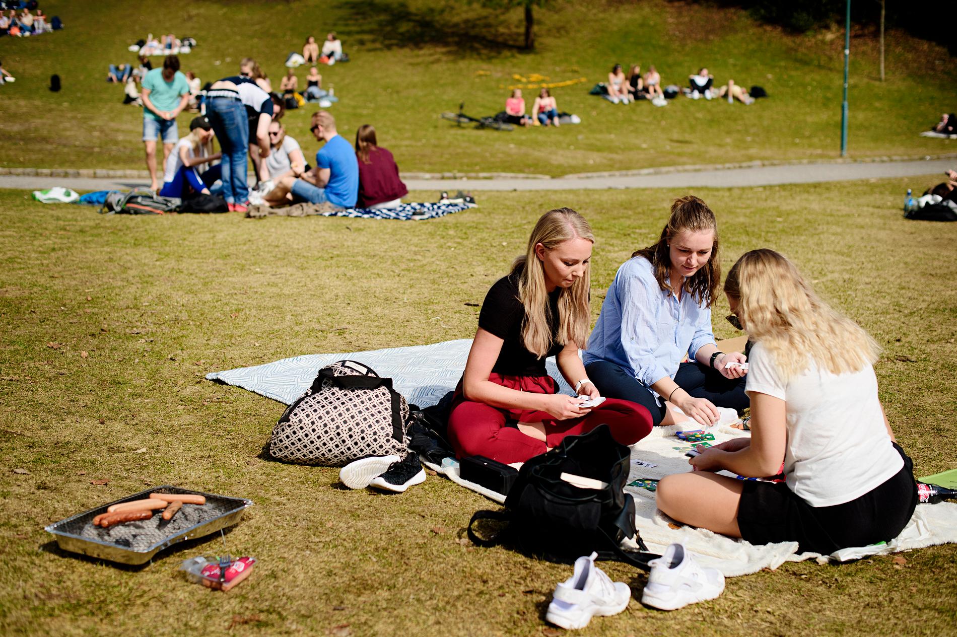  KNALLVÆR: På fredag var det også strålende vær. I Nygårdsparken satt studentene Rosa Rønning, Mia Eidsvåg og Eline Steinsbekk og spilte kortspill.